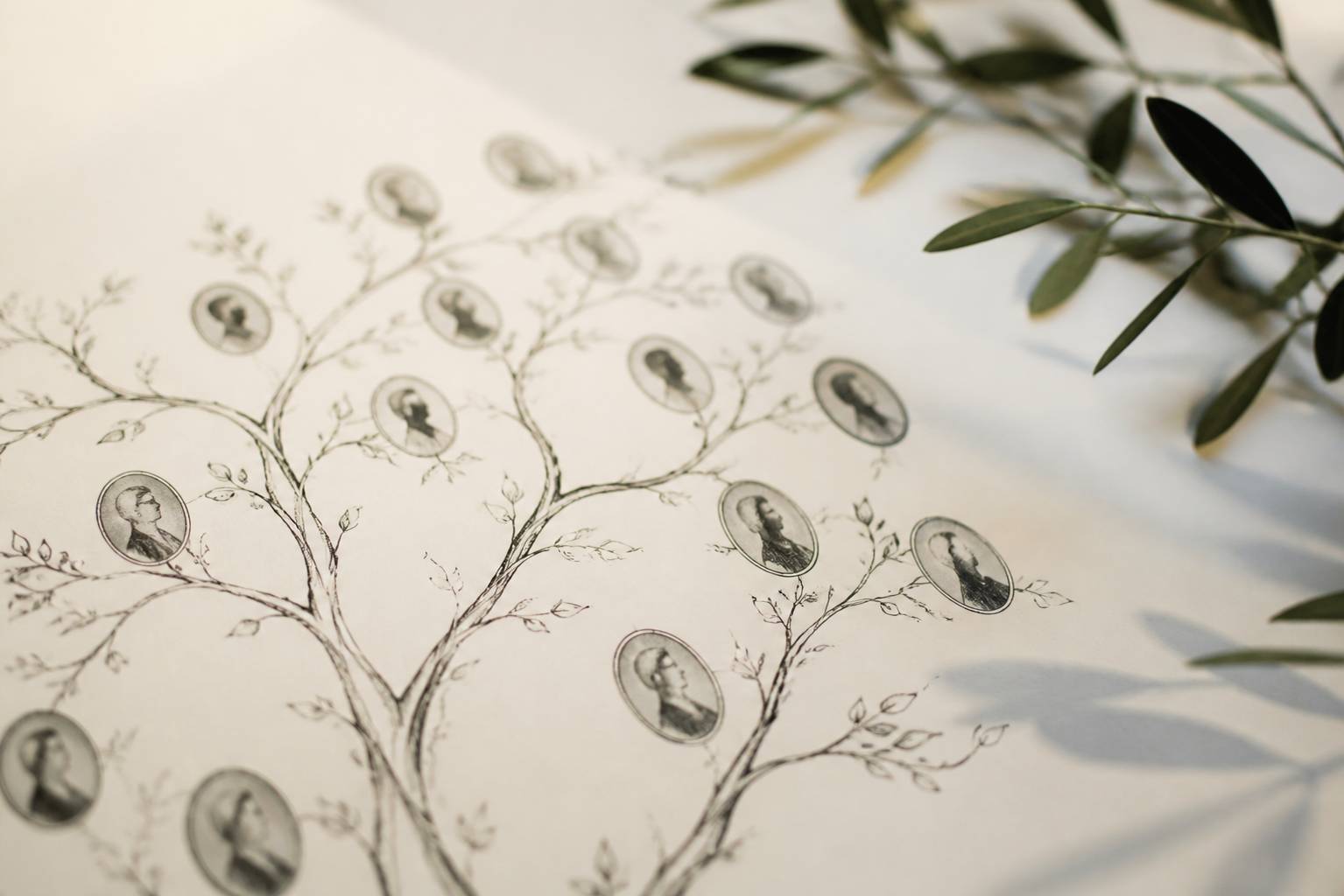 Silhouettes de portraits anciens reliées par un arbre généalogique abstrait